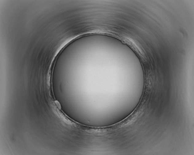 X0000113010900200909031311