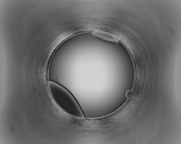 X0000113010901200909031311