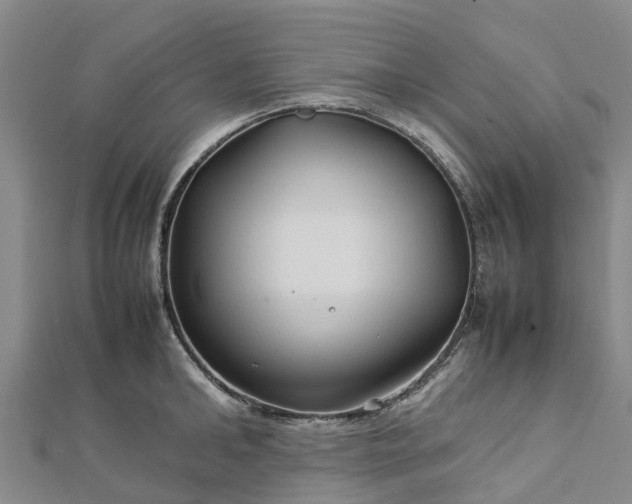 X0000113010902200909031311