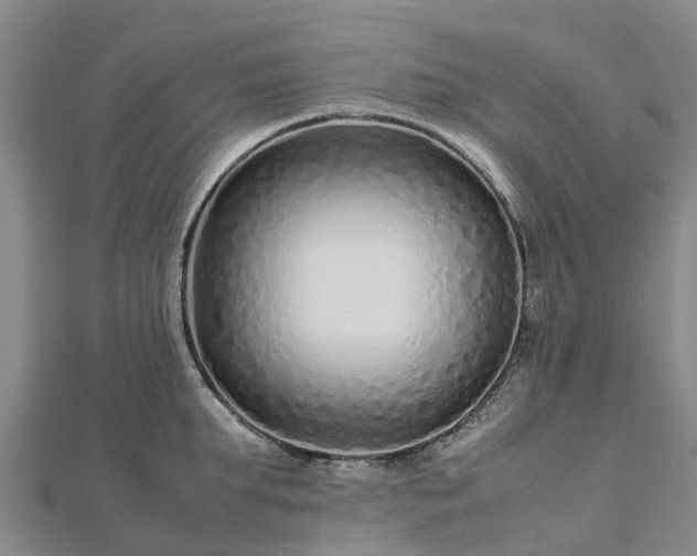 X0000113010903200909031311