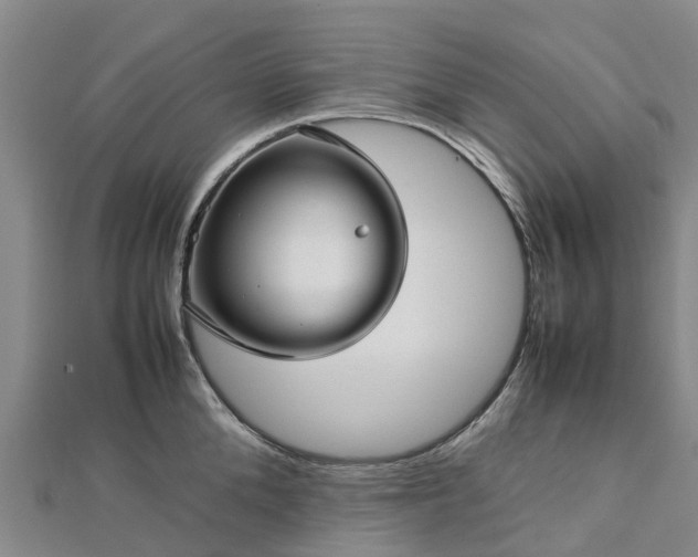 X0000113010904200909031311