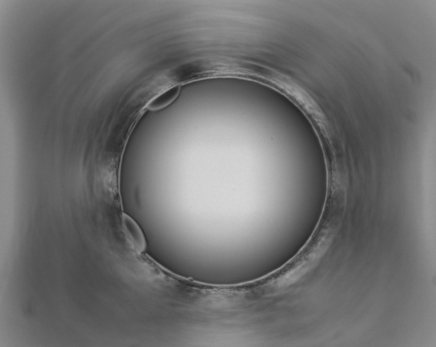 X0000113010905200909031311