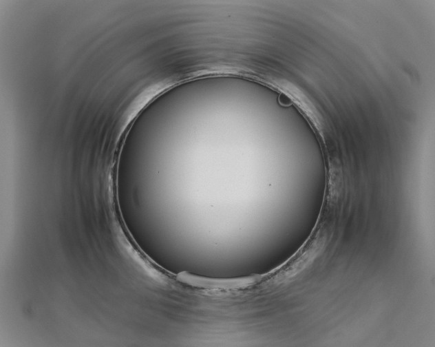 X0000113010906200909031311