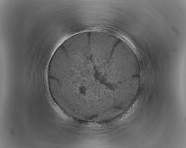 X0000113010907200909031311