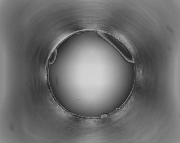 X0000113010908200909031311