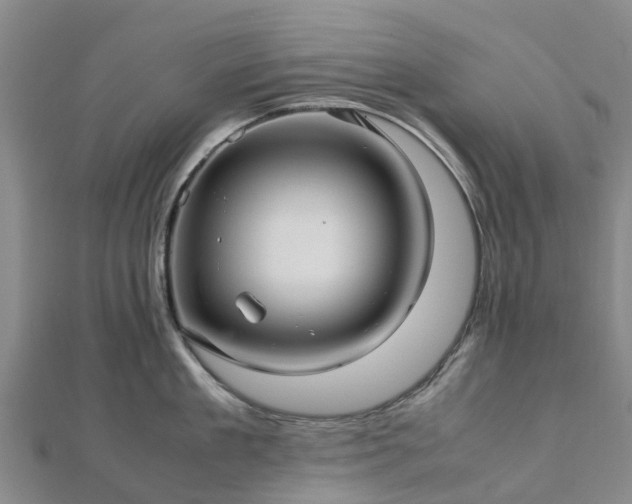 X0000113010909200909031311