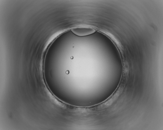 X0000113010910200909031311