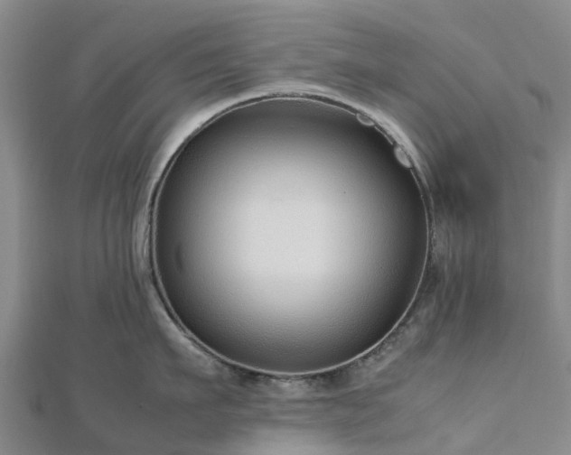 X0000113010911200909031311