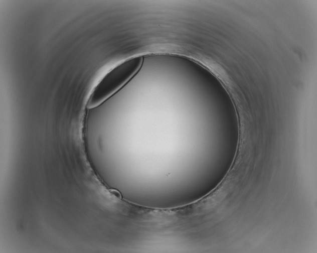 X0000113010912200909031311