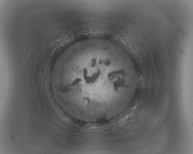 X0000113010913200909031311