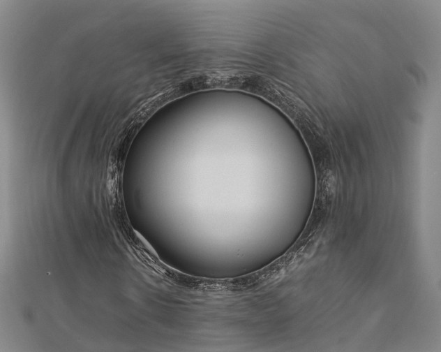 X0000113010914200909031311