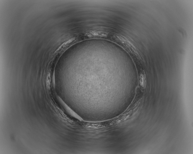 X0000113010915200909031311