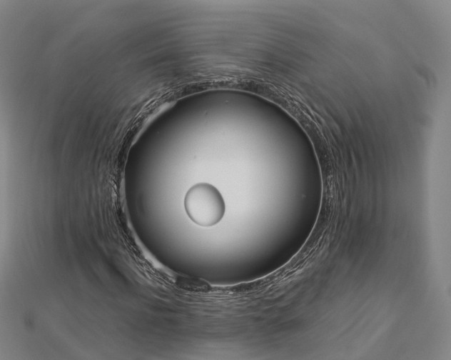 X0000113010916200909031311