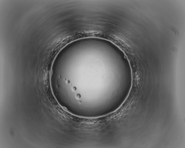 X0000113010917200909031311