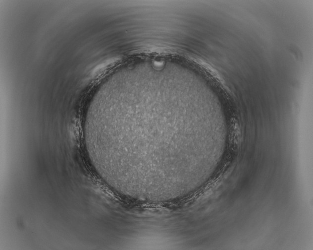 X0000113010918200909031311