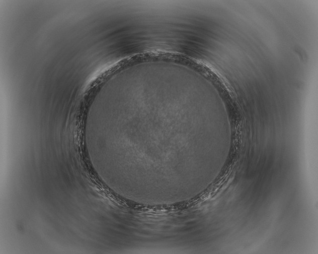 X0000113010919200909031311