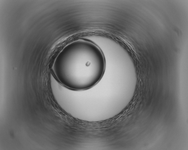 X0000113010920200909031311