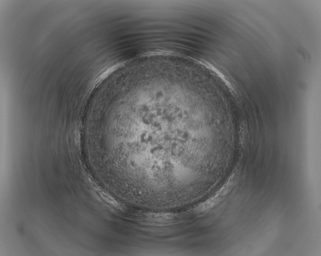 X0000113010921200909031311