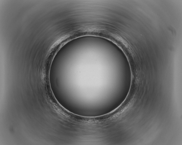 X0000113010922200909031311