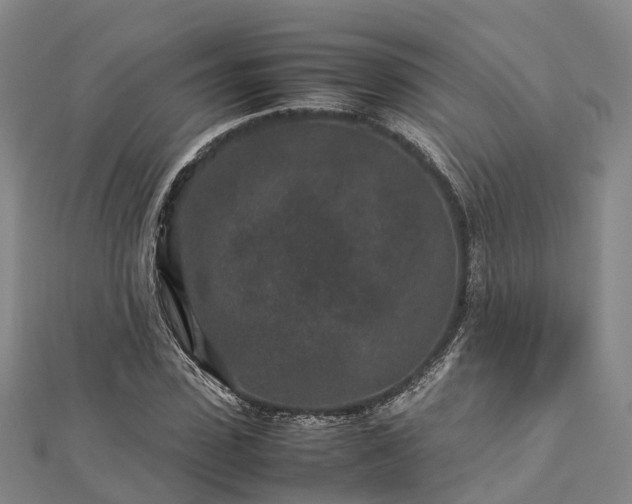 X0000113010923200909031311