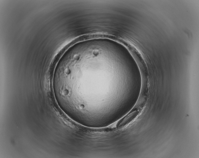 X0000113010925200909031311