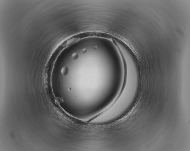 X0000113010926200909031311