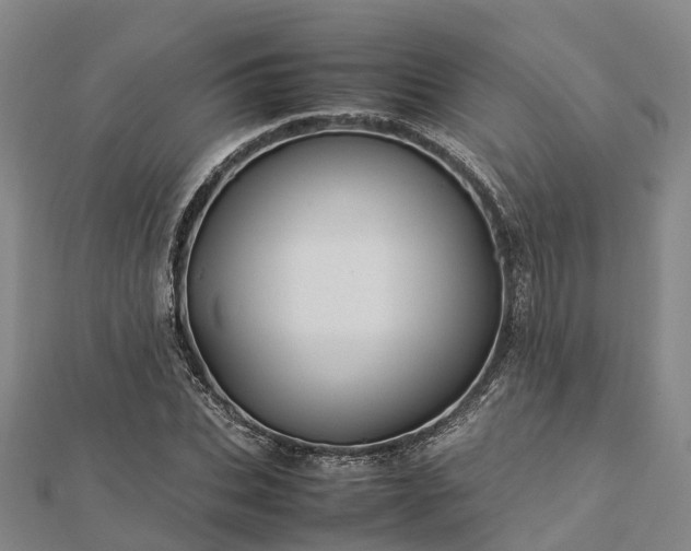 X0000113010927200909031311