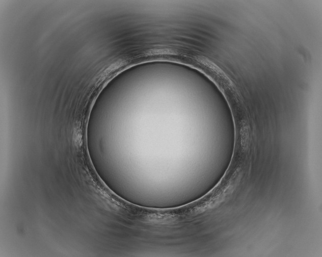 X0000113010929200909031311