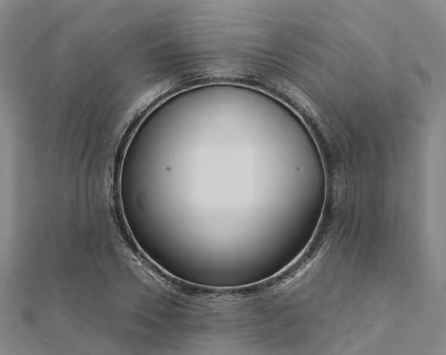 X0000113010930200909031311