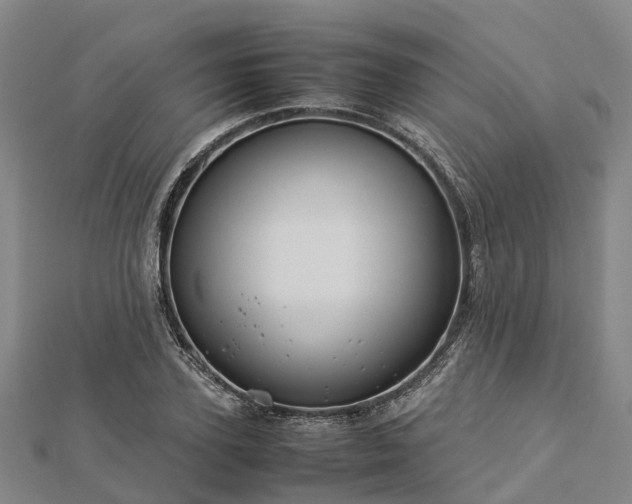 X0000113010931200909031311