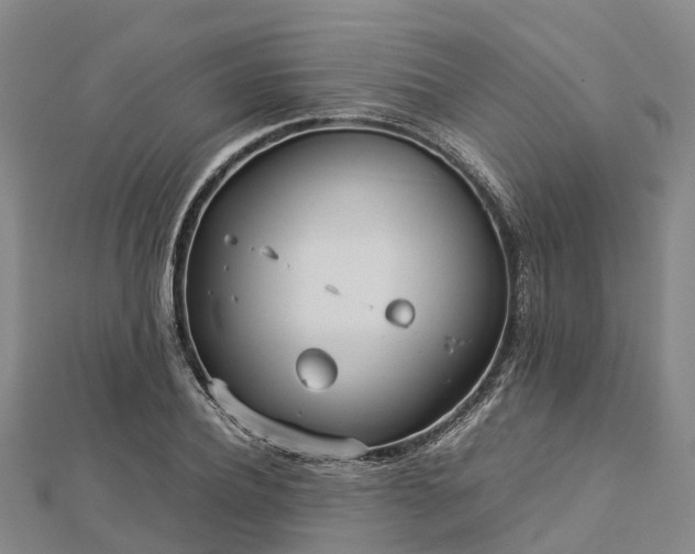 X0000113010932200909031311