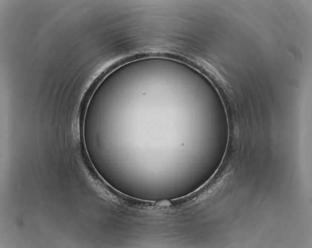 X0000113010934200909031311