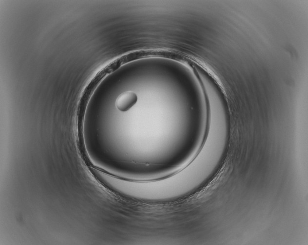 X0000113010935200909031311