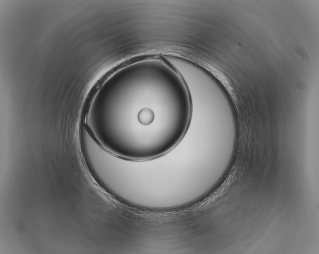 X0000113010936200909031311