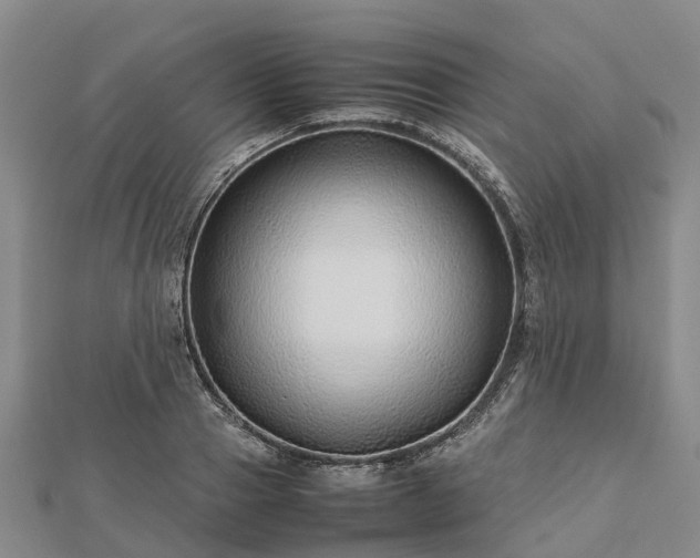 X0000113010937200909031311