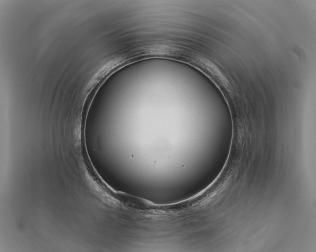 X0000113010938200909031311