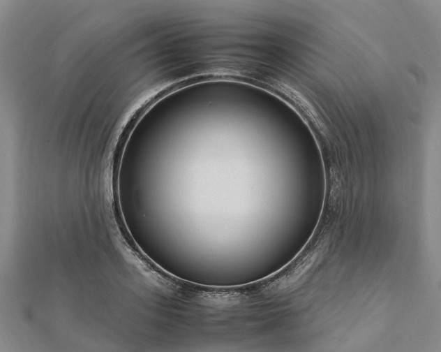 X0000113010939200909031311