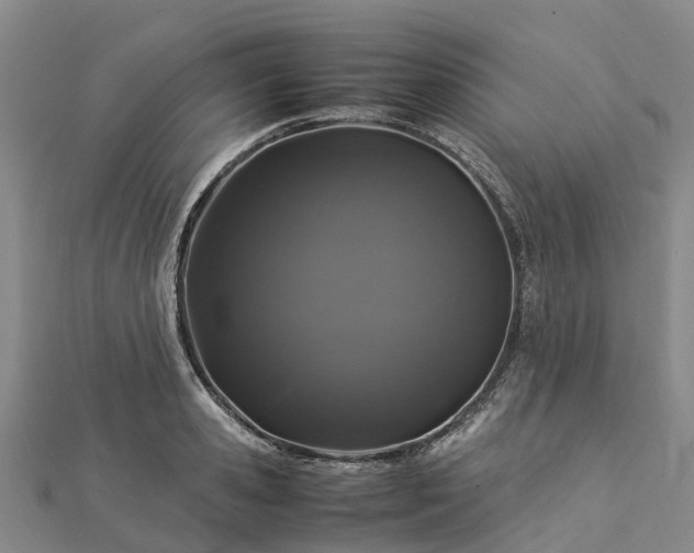 X0000113010941200909031311