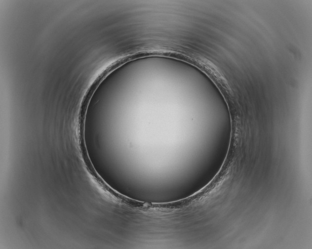 X0000113010942200909031311