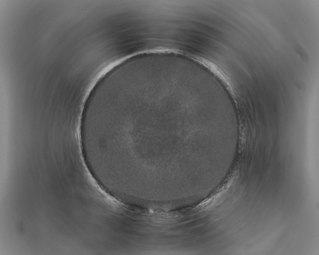 X0000113010943200909031311