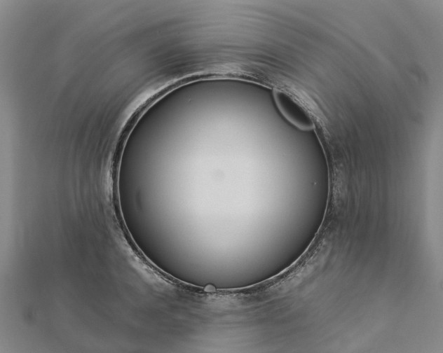 X0000113010944200909031311