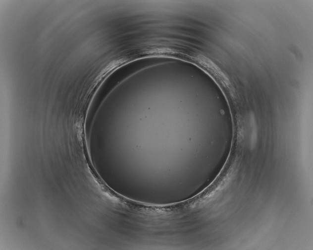 X0000113010945200909031311