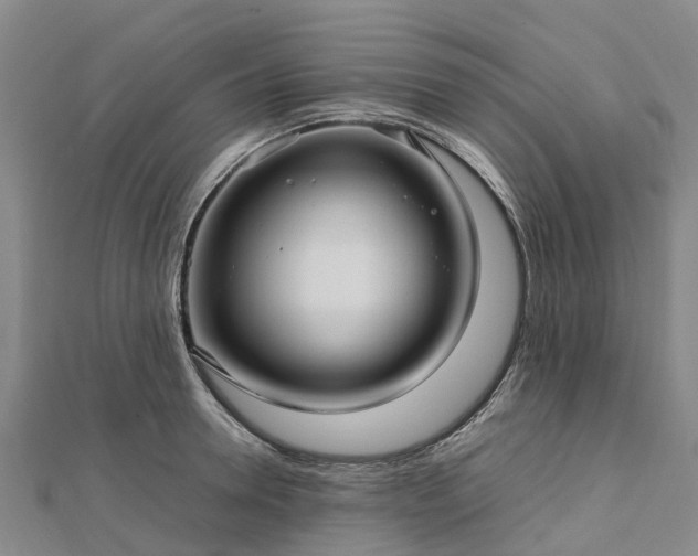 X0000113010946200909031311