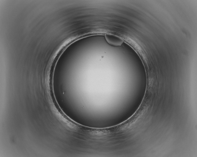 X0000113010947200909031311