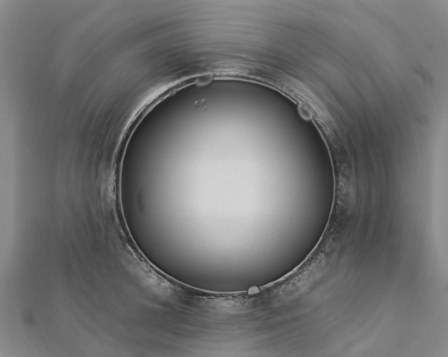 X0000113010948200909031311