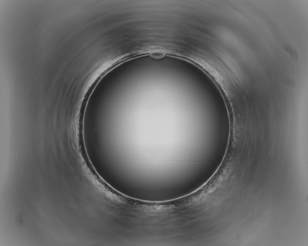 X0000113010949200909031311