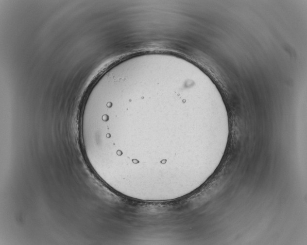 X0000113010950200909031311