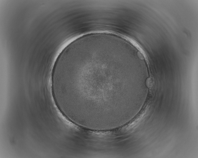 X0000113010951200909031311