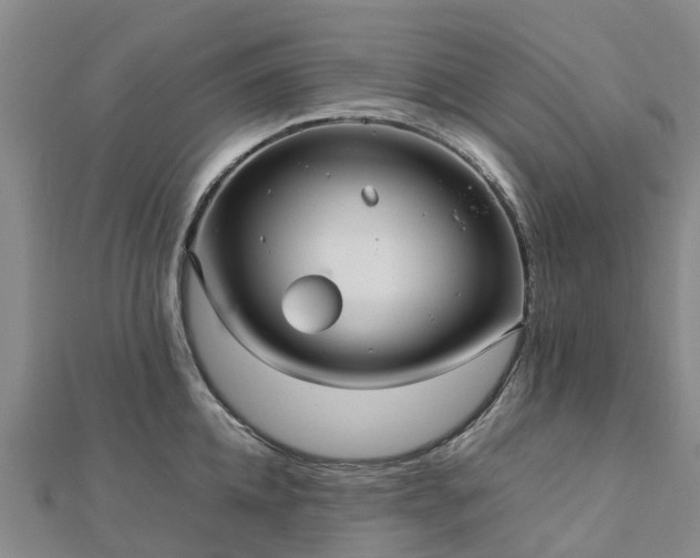 X0000113010952200909031311