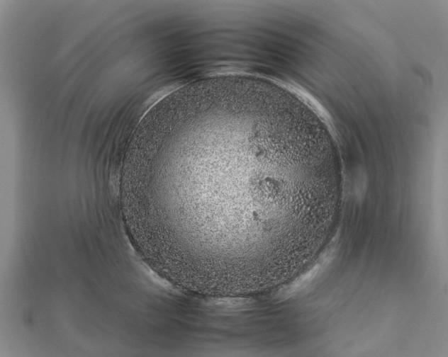 X0000113010953200909031311